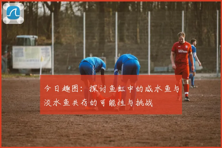 今日趣图：探讨鱼缸中的咸水鱼与淡水鱼共存的可能性与挑战