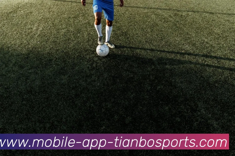 天博体育平台生态图